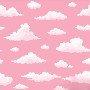 Meet your Posher, Sheyenne